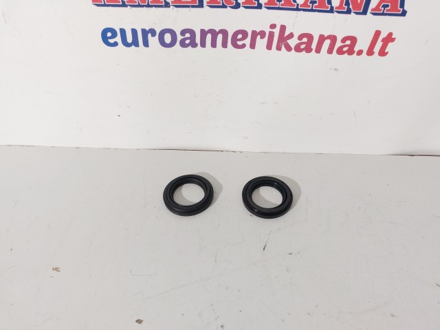 Caliper Repair Kit